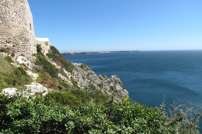 Birdwatching day around Sagres - A small group and private transport: better sightings, fewer headaches