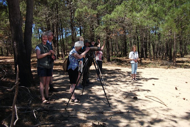Birdwatching day around Sagres - The day’s flow from a 7:00 am start (and why it’s worth it)