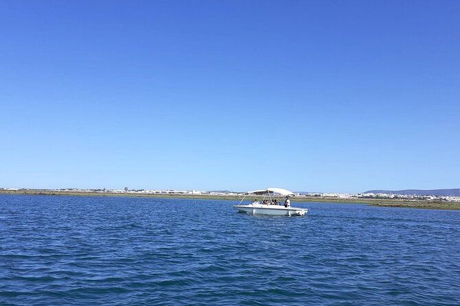 Birdwatching in Ria Formosa - Eco Boat Tour from Faro - Stop 1 in the Marshes: Where Egrets, Storks, and Spoonbills Get Noticed