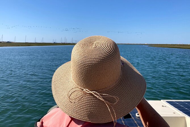 Birdwatching in Ria Formosa - Eco Boat Tour from Faro - The Return to Faro: Quiet Water, Old Town Views, and Time to Reset