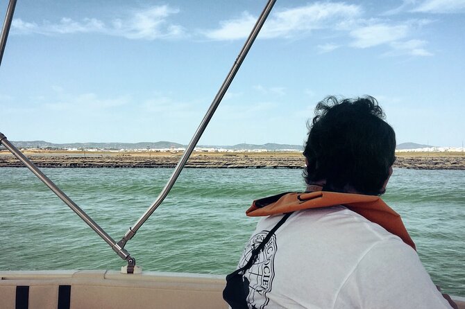 Birdwatching in Ria Formosa - Eco Boat Tour from Faro - Price and Value: Why This Costs What It Costs (and When It’s Worth It)
