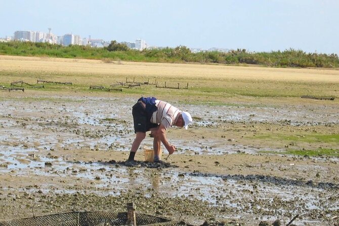 Birdwatching in Ria Formosa - Eco Boat Tour from Faro - Season, Tide, and Weather: How to Guess Your Birding Odds