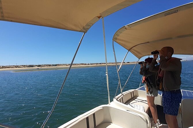 Birdwatching in Ria Formosa - Eco Boat Tour from Faro - Stop 2 Through Canals and Islands: Shellfish Farms and Birds Sharing Space