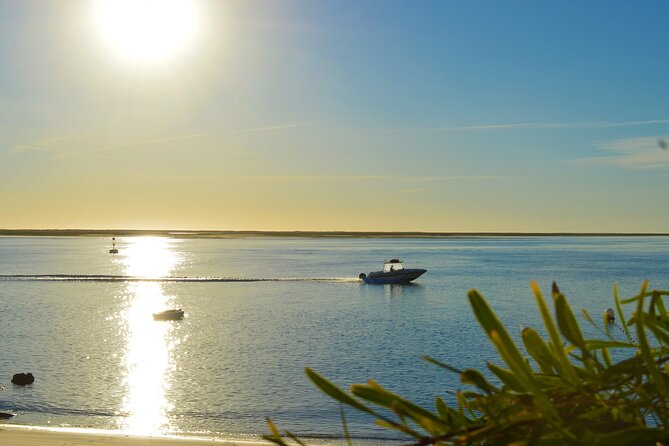 Boat Tour of 2 Ria Formosa Islands: Culatra and Armona - Culatra Island: Fishermen-Village Time and a Sustainability Angle