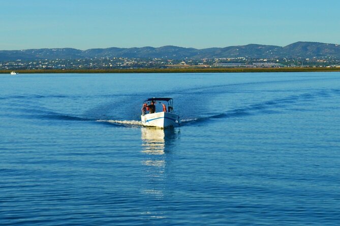 Boat Tour of 2 Ria Formosa Islands: Culatra and Armona - Armona Island in Cooler Months: Dunes, Trails, and Clean-Water Relaxing