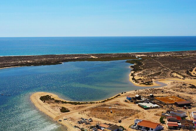 Boat Tour of 2 Ria Formosa Islands: Culatra and Armona - On the Boat: Shaded Comfort and Wildlife Commentary