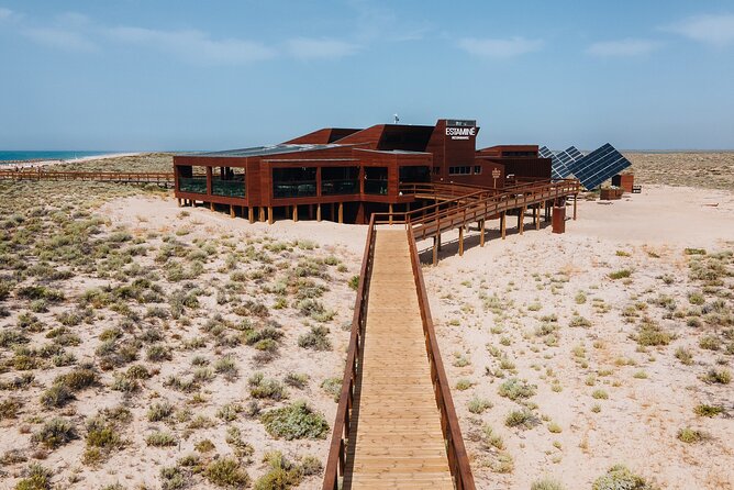 Boat trip from Faro to Ilha Deserta by Ferry - Choosing your return time: avoid the short island day