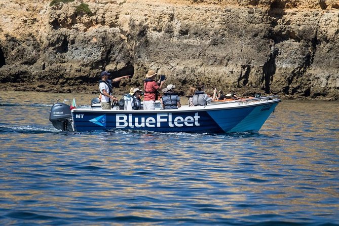 Boat Trip to Ponta da Piedade from Lagos - BlueFleet Boat Comfort: Small, Reliable, and Practical for Caves