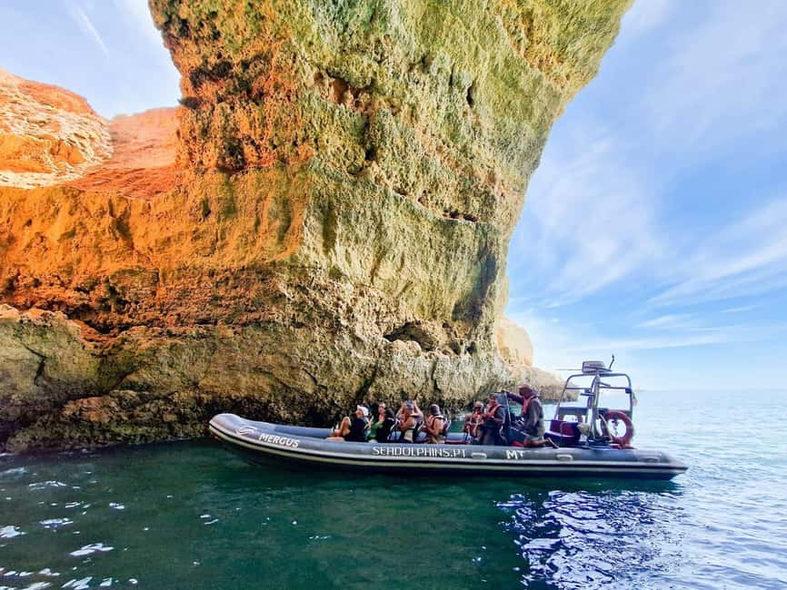 Caves & Dolphins - Combined Trip - Key highlights you should care about