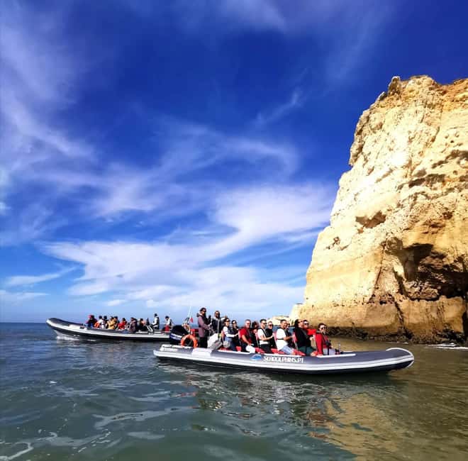 Caves & Dolphins - Combined Trip - Who this tour fits best (and who should rethink it)