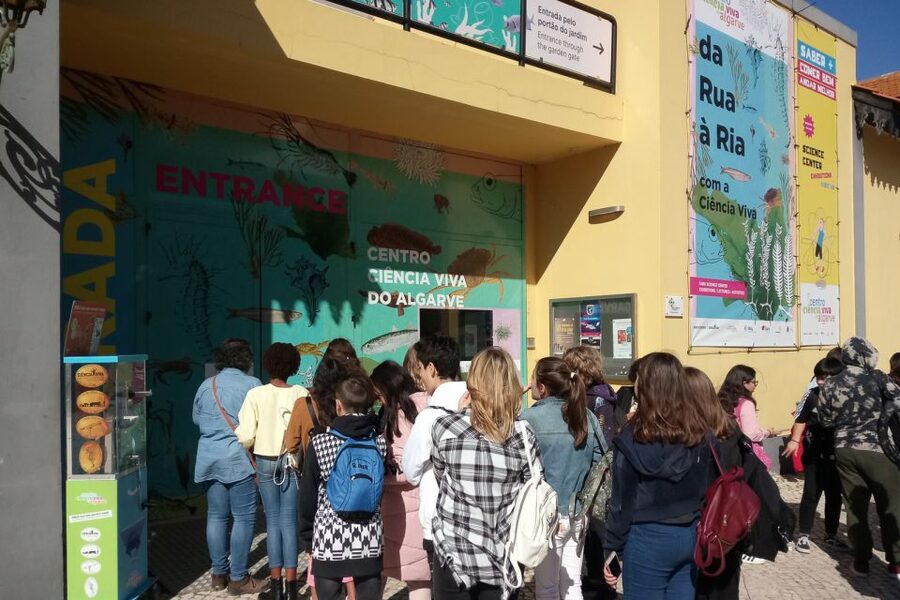 CCVAlgarve Individual Ticket - Physics, geology, meteorology, and volcanos: the whole weather-and-rock story