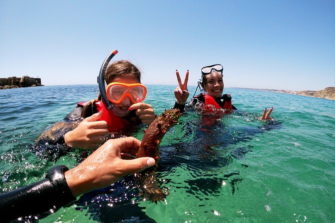 Coasteering Adventure with Snorkeling - Coasteering Algarve: What This 4-Hour Adventure Really Delivers