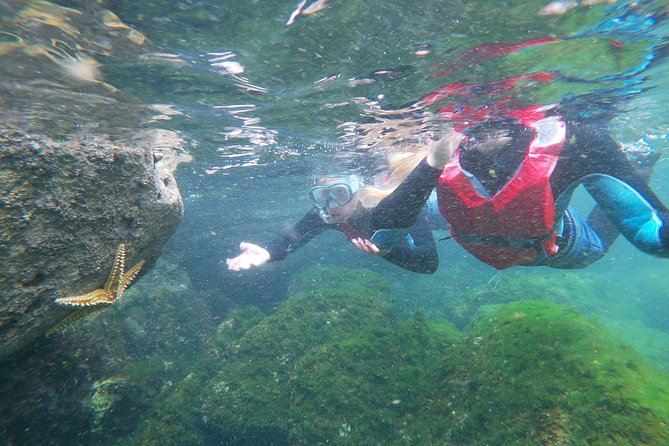 Coasteering adventure with snorkeling: kids version - A kids-friendly coasteering recipe on the Costa Vicentina cliffs
