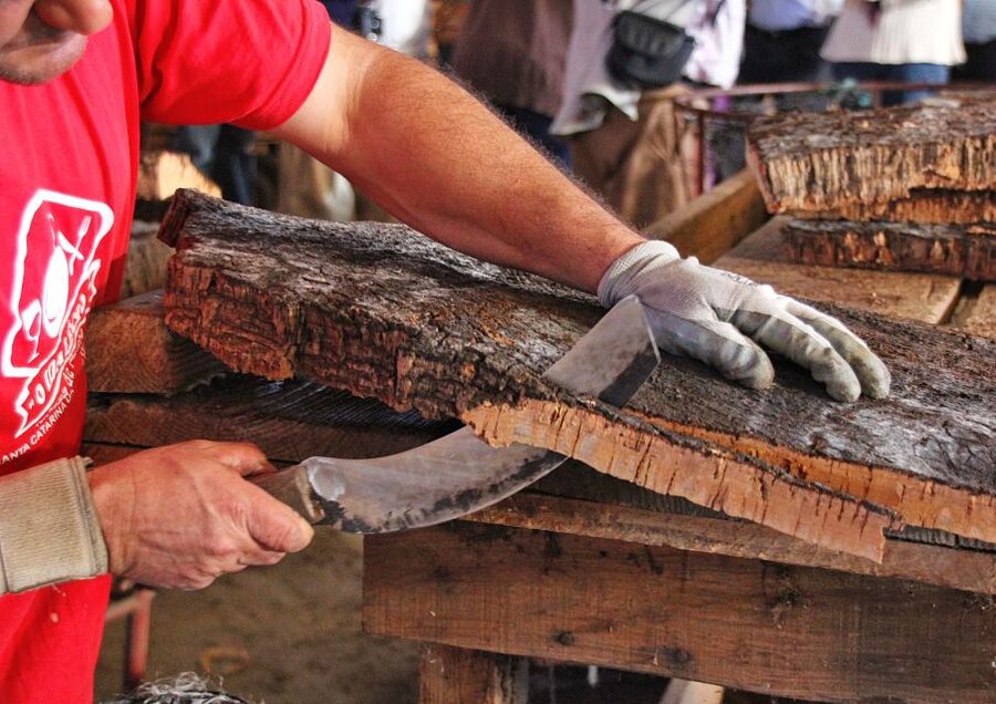 Cork Factory Tour - Key highlights you’ll care about