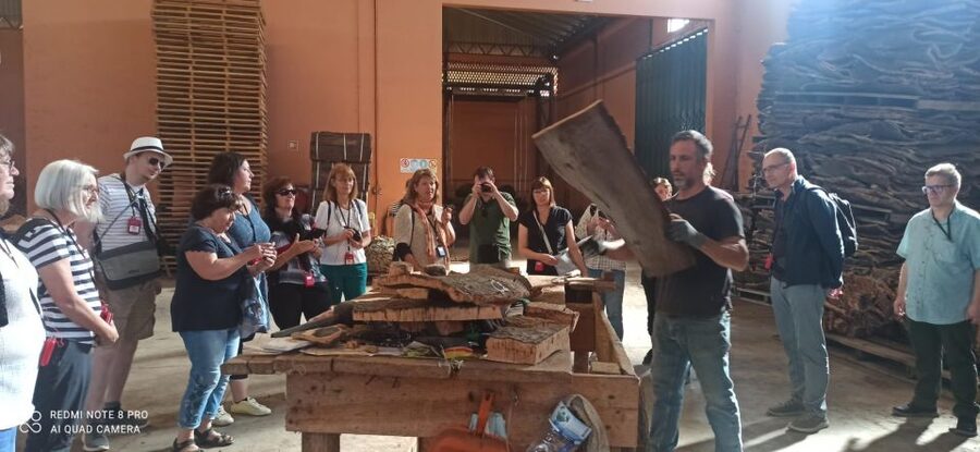 Cork Factory Tour - Cork Oak Country: Why This Factory Stop Feels More Meaningful