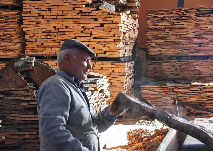 Cork Factory Tour - From Harvest to Processing: The Cork Preparation Story You’ll Actually Remember