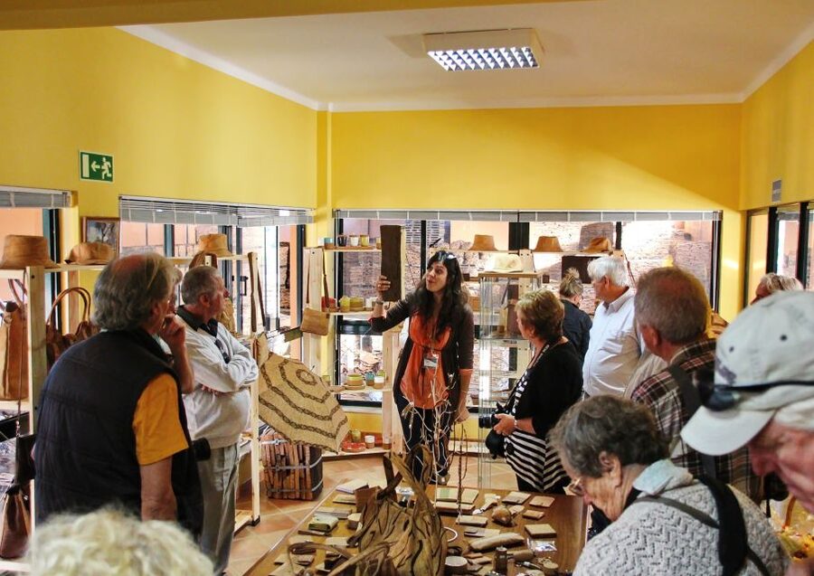 Cork Factory Tour - Getting There From the Algarve: Transportation Matters Here