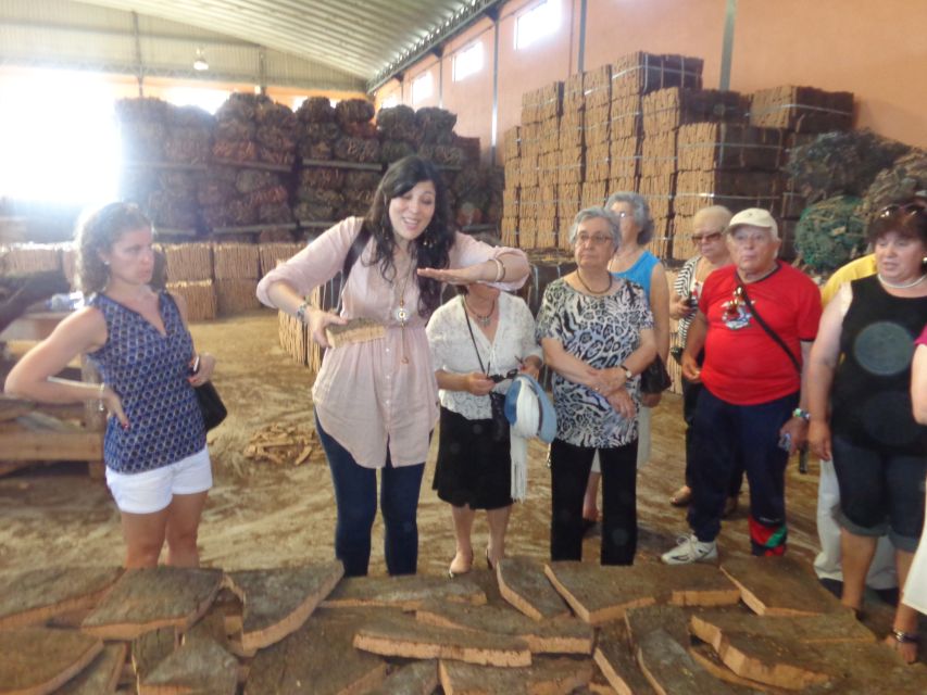 Cork Factory Tour - Should You Book This Cork Factory Tour?