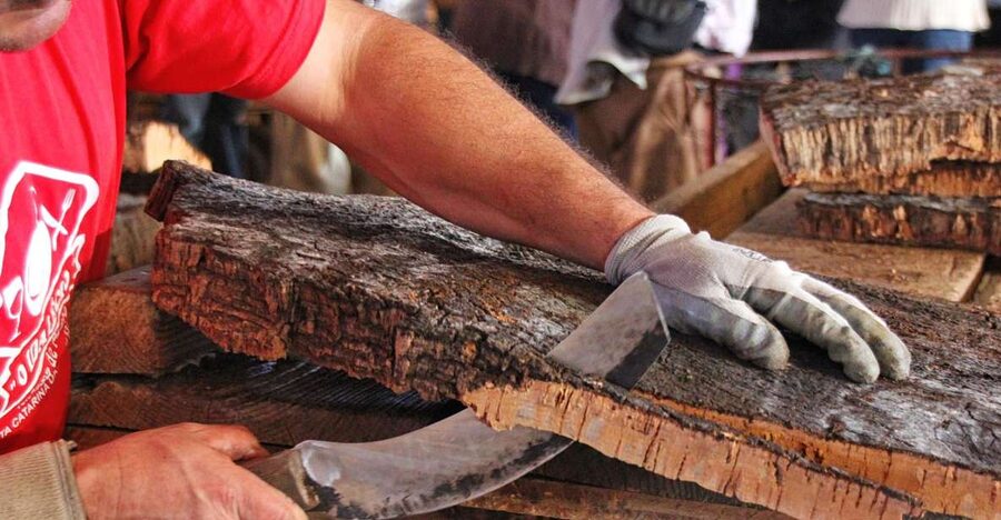 Cork Factory Tour - Eco-Cork Factory in Mesquita Baixa: What the 50 Minutes Looks Like