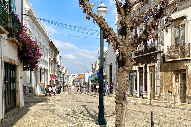 Discover Tavira - Tapas and Wine Tour - A short 11:30 route that makes you feel oriented fast