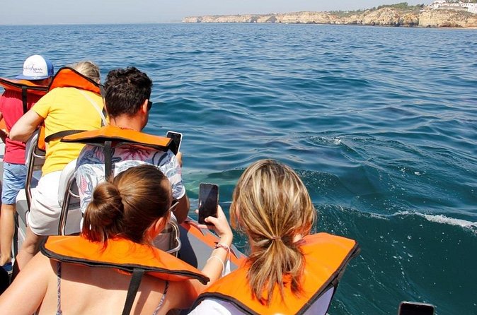 Dolphin and Whale Watching in Lagos - The Photo Reality: When Dolphins Pop Up Fast