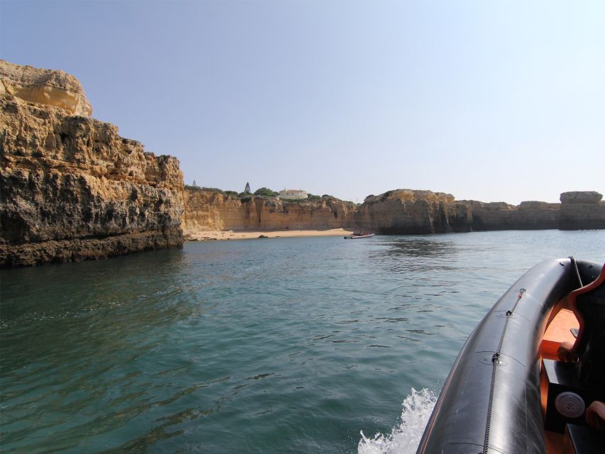 Dolphin Safari and Cave Tour in Vilamoura - Key things to know before you go