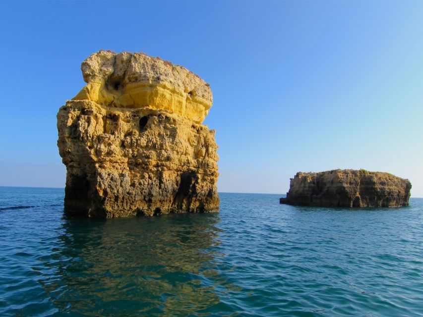 Dolphin Safari and Cave Tour in Vilamoura - Onboard experience: skipper, live guide, and the tone of the ride