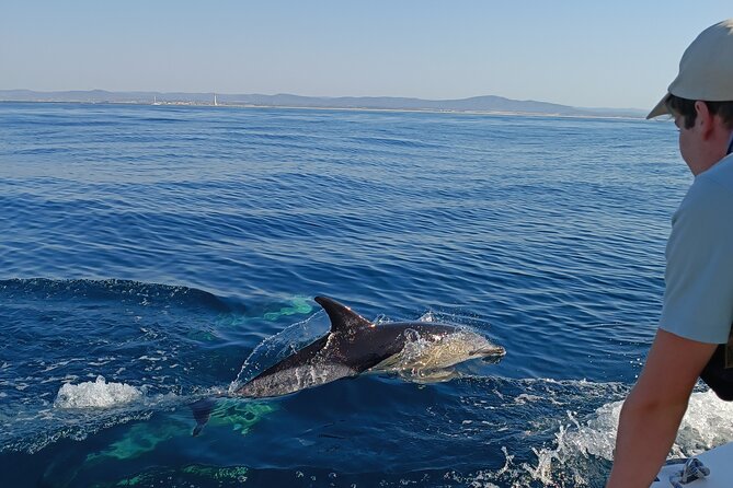 Dolphin Watching + 2 Islands Tour - From Faro - Key highlights that make this tour worth your time