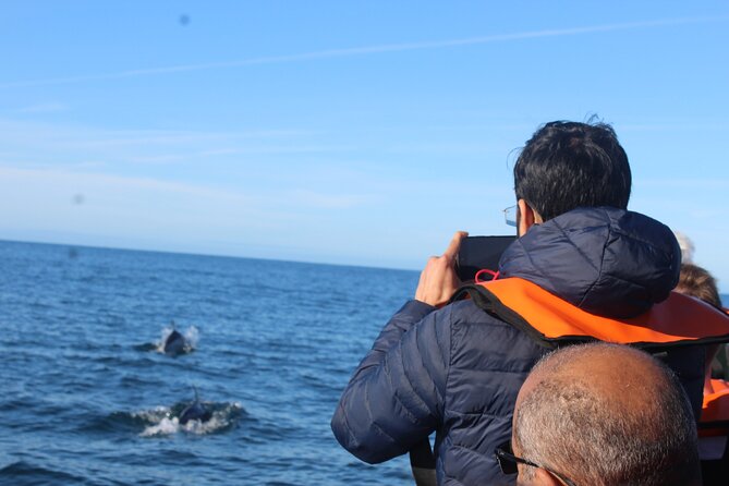 Dolphin Watching + 2 Islands Tour - From Faro - Atlantic dolphin search: what you should hope for and how to think about it