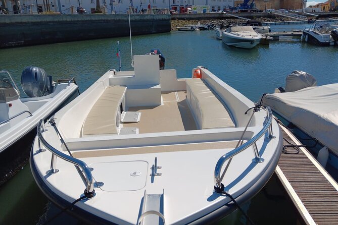 Dolphin watching and wildlife from Faro - Why Faro’s early dolphin trip starts with the protected lagoon