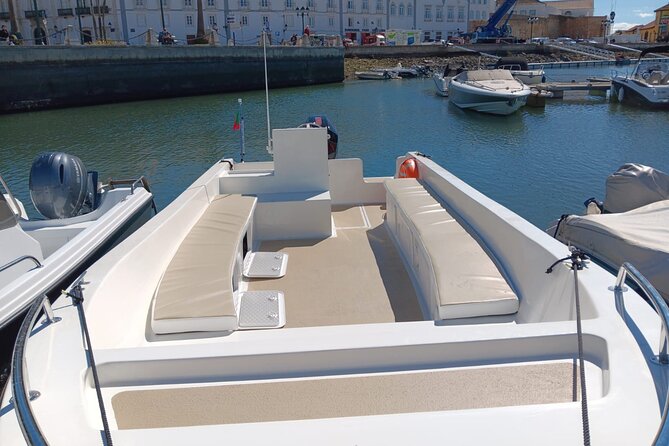 Dolphin watching and wildlife from Faro - Out on the Atlantic: searching for dolphins (and maybe more)