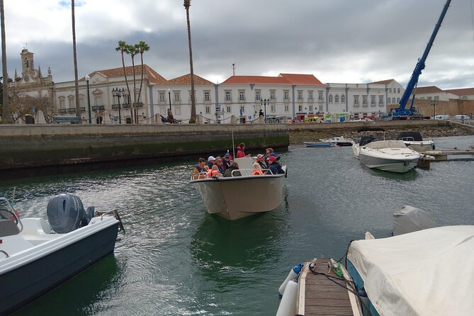 Dolphin watching and wildlife from Faro - Timing, meeting point, and how to start smoothly in Faro