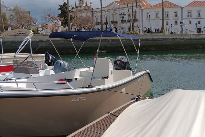 Dolphin watching and wildlife from Faro - Price and value: what $57.32 buys you in real terms