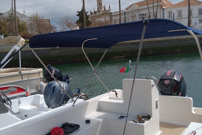 Dolphin watching and wildlife from Faro - Who this tour suits best