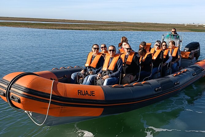 Dolphin Watching from Faro - Key Highlights You’ll Actually Care About