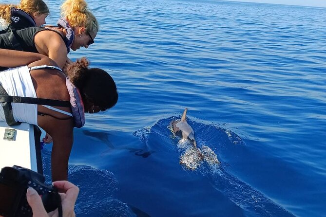 Dolphin Watching from Faro - Meeting at Cais das Portas do Mar: the calm start you want