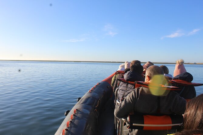Dolphin Watching from Faro - How dolphin watching works on the Faro–Atlantic run