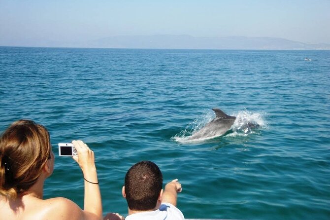 Dolphin Watching from Faro - Who this cruise fits best (and who might want a different day)