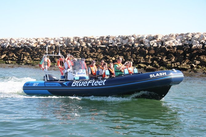 Dolphin Watching from Lagos with Marine Biologists - Algarve views from the water: more than just dolphins