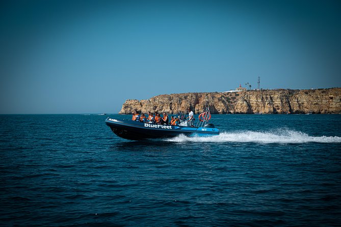 Dolphin Watching from Lagos with Marine Biologists - Should you book Bluefleet dolphin watching in Lagos?