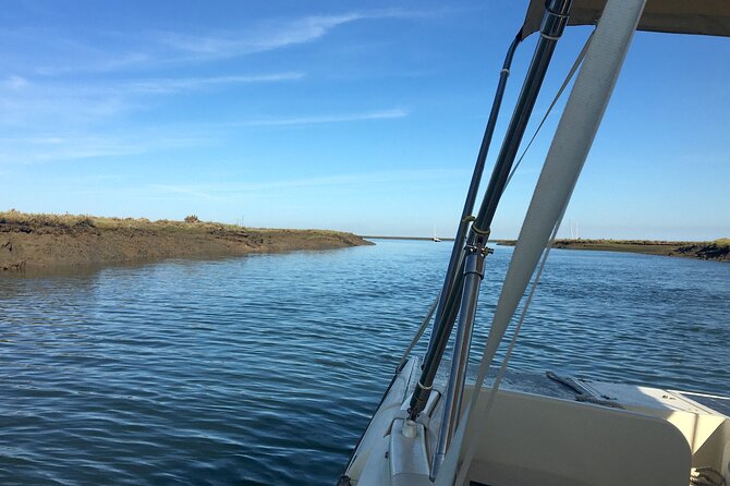 Eco Boat Tour in the Ria Formosa Lagoon from Faro - Solar-powered quiet in Faro’s Ria Formosa wetlands