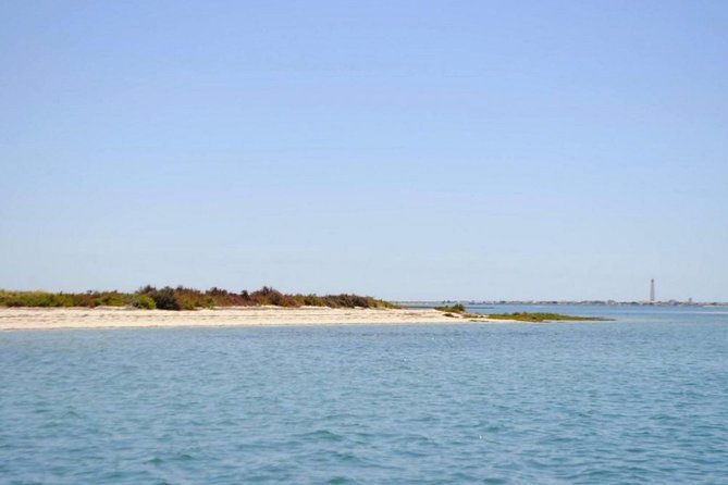 Eco Boat Tour in the Ria Formosa Lagoon from Faro - Guides on board: live commentary in English (and real personality)