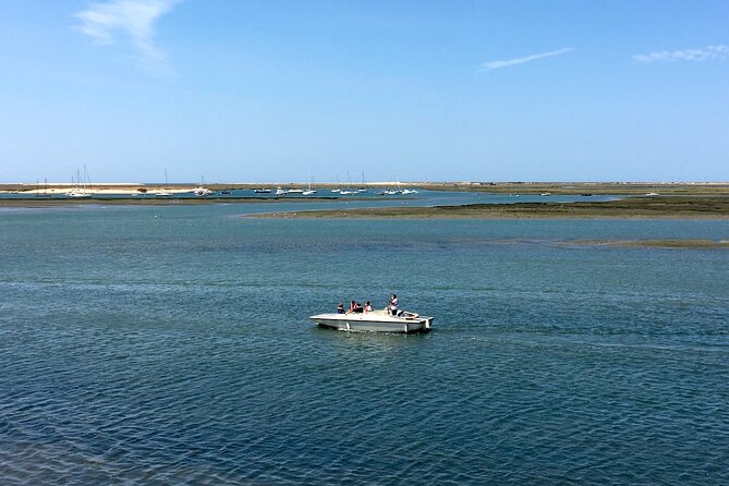 Eco Boat Tour in the Ria Formosa Lagoon from Faro - When to go and what to bring for better sightings
