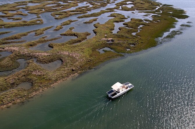 Eco Boat Tour in the Ria Formosa Lagoon from Faro - What the 1-hour ride is like (and why tides change everything)