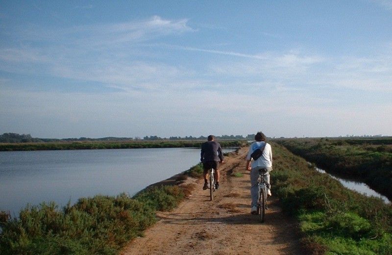 Faro Bike Tour through the Beautiful Ria Formosa - A Bike Ride Through Faro’s Ria Formosa Wetlands