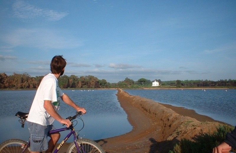 Faro Bike Tour through the Beautiful Ria Formosa - The $58 Price, What You Get, and Why It Feels Fair