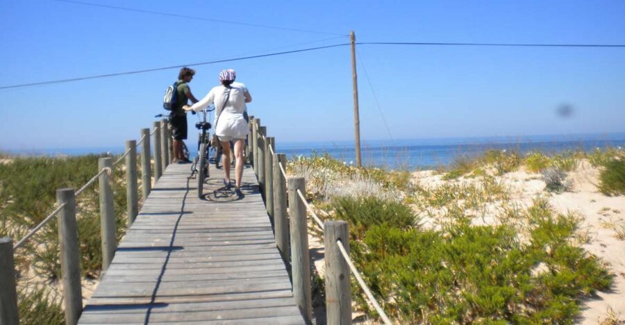 Faro Bike Tour through the Beautiful Ria Formosa - Marshlands and Channels: Expect Sandy, Slow-to-Faster Cycling