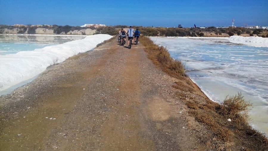 Faro Bike Tour through the Beautiful Ria Formosa - Praia de Faro Break: A Drink, Optional Swim, and Reset Time