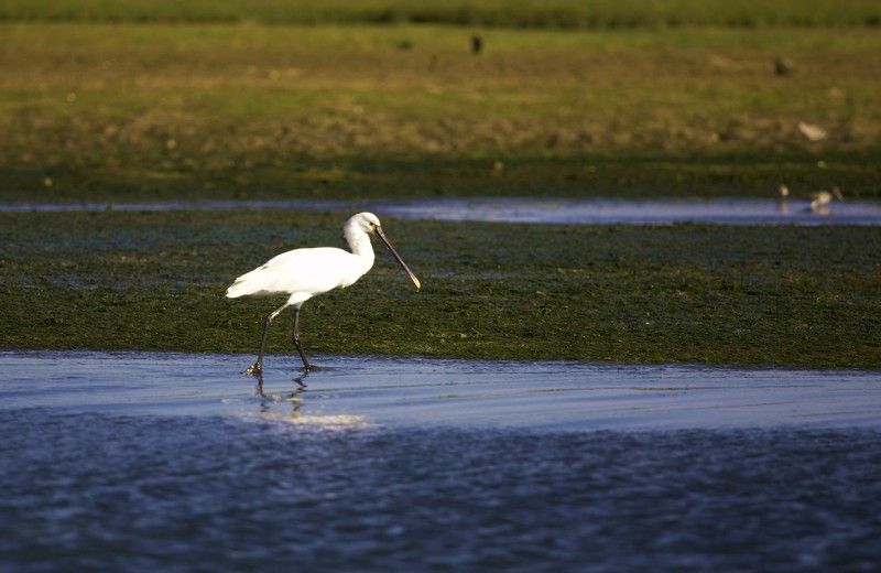 Faro Bike Tour through the Beautiful Ria Formosa - Bikes, Safety Gear, and What to Pack (So You’re Comfortable)