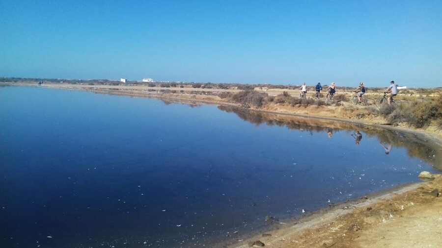 Faro Bike Tour through the Beautiful Ria Formosa - Language on the Ground: English, Portuguese, Spanish, French